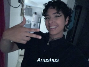 Anashus