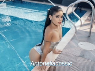 Antonellacossio