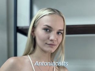 Antoniacatts