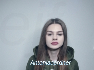 Antoniacordner