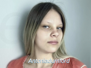 Antoniadumford