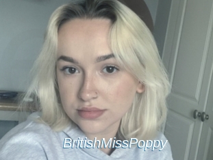 BritishMissPoppy