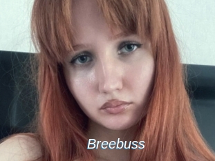 Breebuss