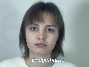 Bridgetharrie