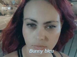 Bunny_bleu