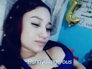 Bunnydangerous