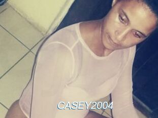 CASEY2004