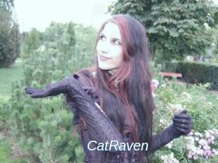 CatRaven