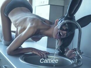 Cattiee
