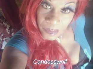 Candasswolf