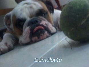 Cumalot4u