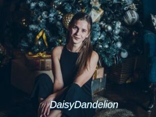 DaisyDandelion