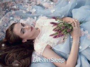 DreamSleep