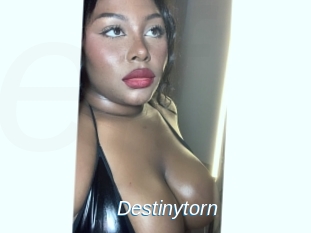 Destinytorn