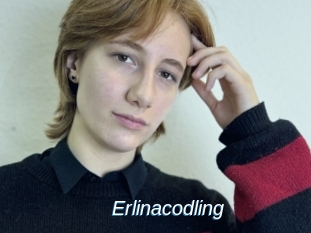 Erlinacodling