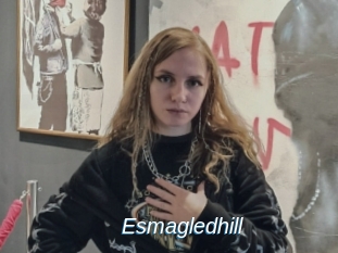 Esmagledhill