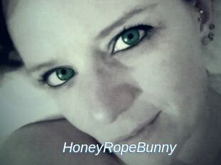 HoneyRopeBunny