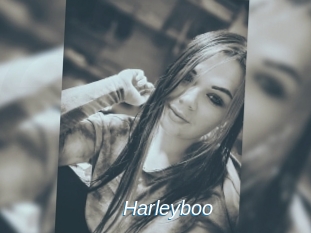 Harleyboo