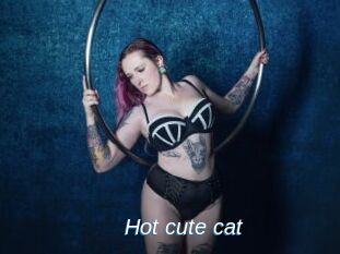 Hot_cute_cat