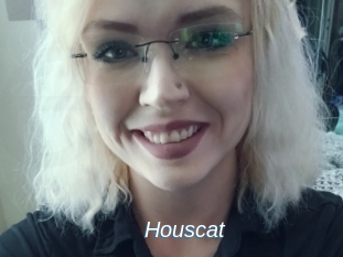 Houscat