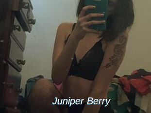 Juniper_Berry