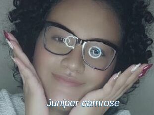 Juniper_camrose