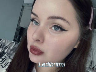 Ledibritmi