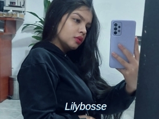 Lilybosse