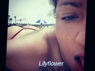 Lilyflower