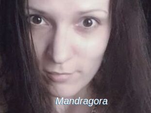 Mandragora