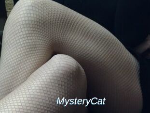 Mystery_Cat