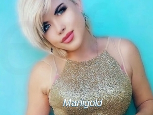 Mariigold