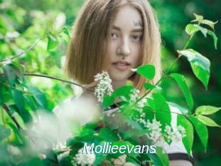 Mollieevans