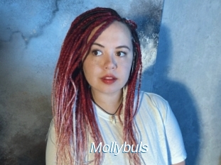 Mollybuls