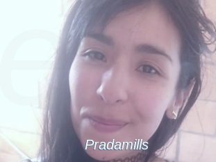 Pradamills