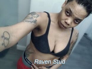 Raven_Stud