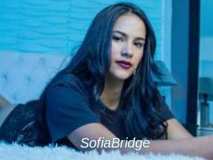 SofiaBridge