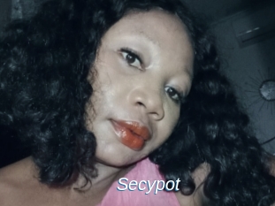 Secypot