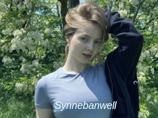 Synnebanwell