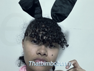 Thatbimbobunny