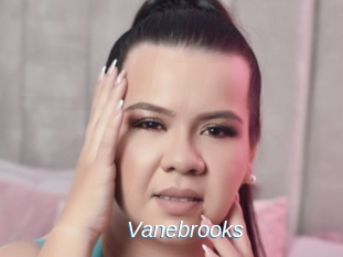 Vanebrooks