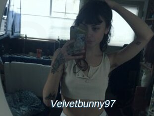 Velvetbunny97