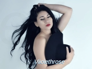 Viiolethrose