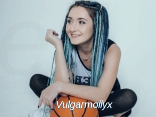 Vulgarmollyx