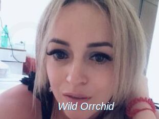 Wild_Orrchid