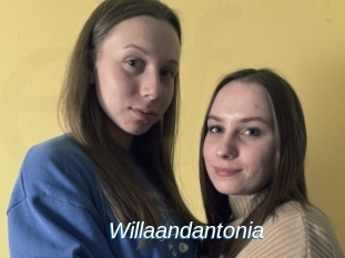 Willaandantonia